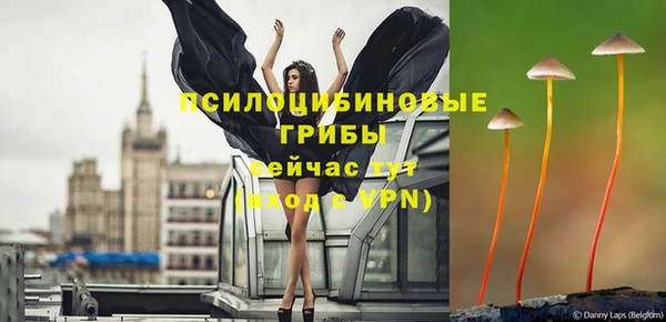 прущая мука Корсаков