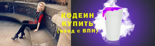 прущая мука Корсаков